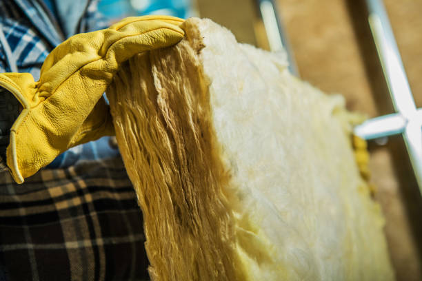 Best Fiberglass Insulation  in Johnsonville, SC