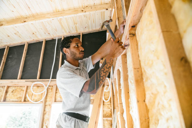 Best Energy-efficient Insulation  in Johnsonville, SC