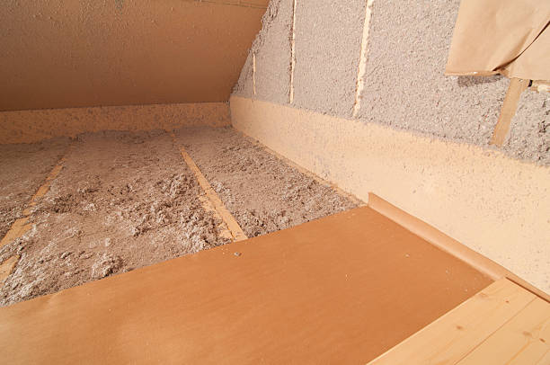 Best Spray Foam Insulation  in Johnsonville, SC